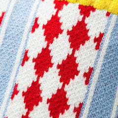 Argyle Knit Dog Sweater