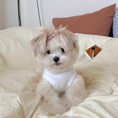 Happiness Print Dog Vest