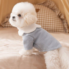 Scalloped Collar Dog Shirt