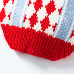 Argyle Knit Dog Sweater