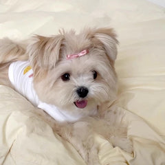 Happiness Print Dog Vest