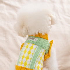 Argyle Knit Dog Sweater