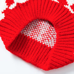 Argyle Knit Dog Sweater