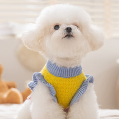 Argyle Knit Dog Sweater
