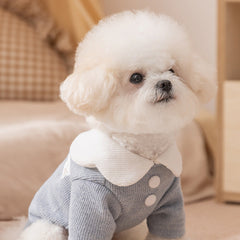 Scalloped Collar Dog Shirt