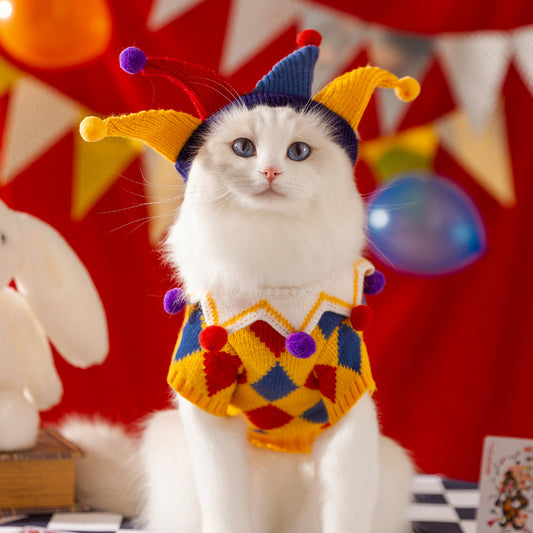 Argyle Knit Dog Sweater