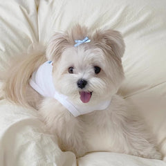 Happiness Print Dog Vest