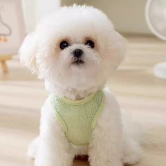 Breathable Dog Vest with Bear Patch