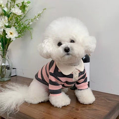 Striped Polo Dog Shirt