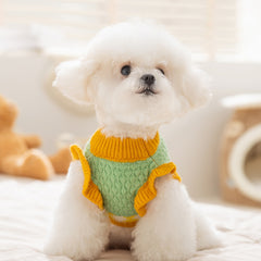 Argyle Knit Dog Sweater