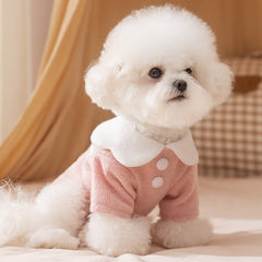 Scalloped Collar Dog Shirt