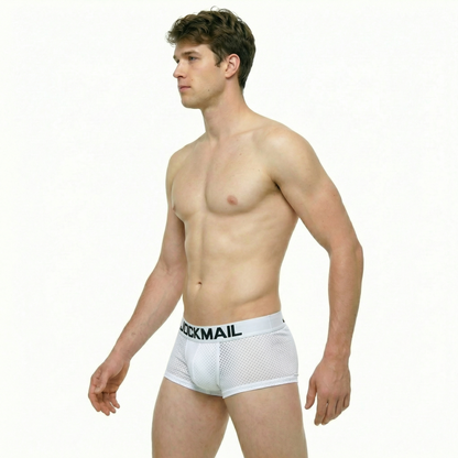 Men's Breathable Mesh Quick-Dry Trunks